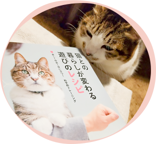 猫との暮らしが変わる遊びのレシピ