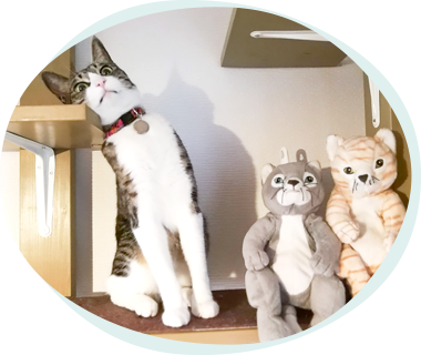 メールによる報告