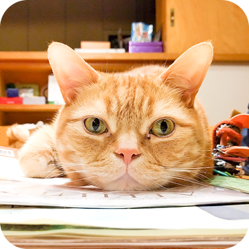 打ち合わせ&報告写メール