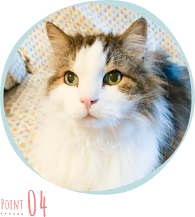 動物取扱業登録・資格所持