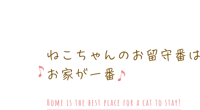 猫ちゃんのお留守番はお家が一番